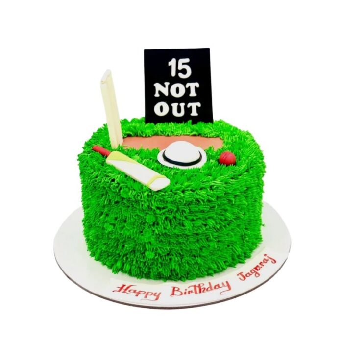 Cricket themed birthday cake - Cake Art's by Kanchi | Facebook